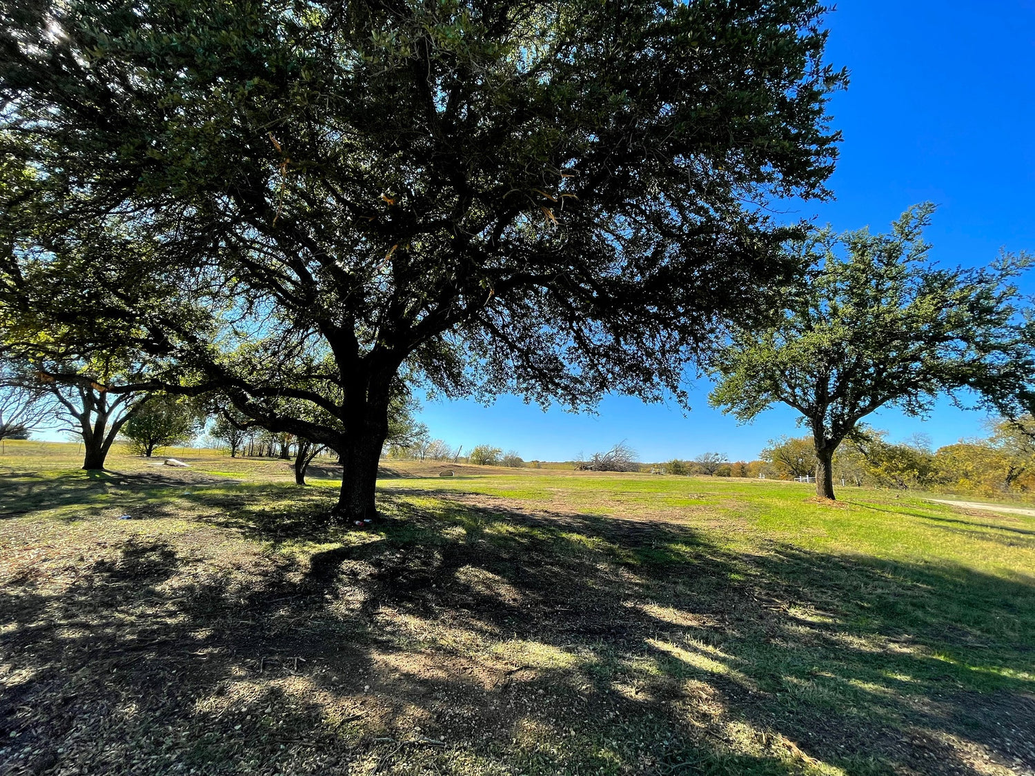 Justin – Land & Roots